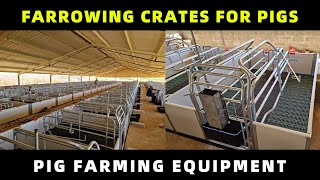 Farrowing crates for pigs  Pig farm equipment farrowing box animal cages [upl. by Maryl823]