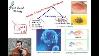 chapter 1 Activity 4 specific immune response part 1 Grade 8 [upl. by Ahcsap]