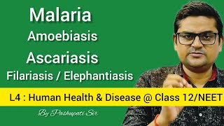 L4 Protozoan and Helminth Diseases  Malaria  Amoebiasis  Ascariasis  Filariasis  Class 12NEET [upl. by Selhorst762]