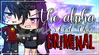 The Alpha Marked the Criminal  GLMM  Gacha Life MiniMovie [upl. by Mastrianni895]