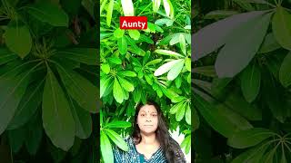 aunty kisko bola funnycomedy funny video short🤣😂🤣viralyoutube [upl. by Jos844]