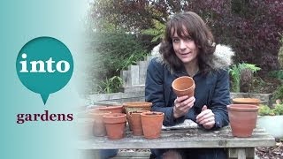 Planting bulbs in pots Iris reticulata with Dawn Isaac [upl. by Lotz173]