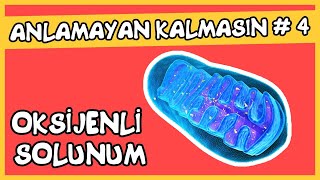 Anlamayan Kalmasın 4 Oksijenli Solunum [upl. by Ecnarf]