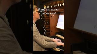 Toekomst vól van hoop marcodentoom organist orgel shorts sela [upl. by Marijane]