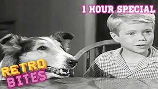 Lassie  1 Hour Compilation  Full Episodes  Kids Cartoon  Videos For Kids [upl. by Nnil362]