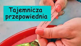 Czy Marta w biegu jest moja siostrą Umysł Grzesia krupnik Uliczne jedzenie Co z moja kontuzją [upl. by Ezarras]