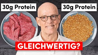 Pflanzliches Protein vs tierisches Protein Das sollten Sie wissen [upl. by Gusti]