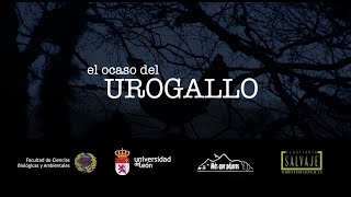 EL OCASO DEL UROGALLO [upl. by Ahsiuqel940]