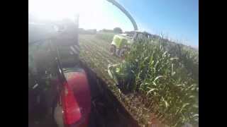 GoPro Maishäckseln 2015 Sound Massey FergusonClaas [upl. by Alrahs]