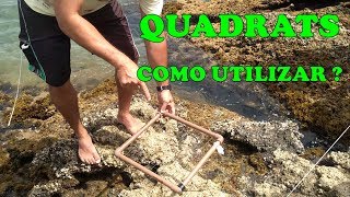 Método dos Quadrats  Prática e Construção [upl. by Reid]