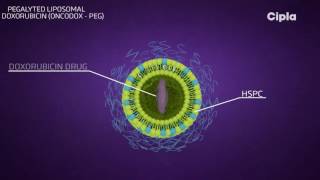 Liposomal technology [upl. by Arbmik182]