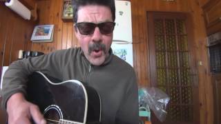 Vivre ou survivre DANIEL BALAVOINE cover guitare [upl. by Rosabelle]