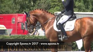 Falsterbo Horse Show warm up arena  2017 [upl. by Ahdar]