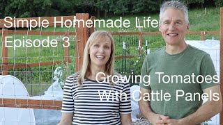 Growing Tomatoes With Cattle Panels  AnOregonCottagecom [upl. by Nabal]