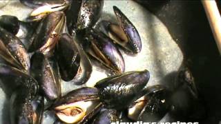 PASTA WITH MUSSELS  CLAUDIAS RECIPES [upl. by Atiuqcir340]