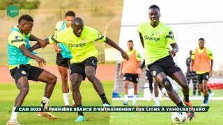 CAN 2023  Première Séance d’entrainement des lions à Yamoussoukro [upl. by Howland]