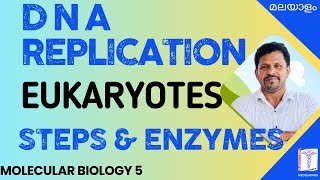 DNA Replication Biochemistry Malayalam Eukaryotic DNA Replication Malayalam Molecular Biology [upl. by Notnelc]