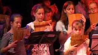 My heart will go on played by Big Pan flute Ensemble [upl. by Yenetruoc]