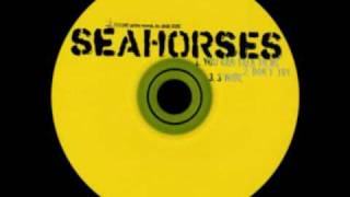 The Seahorses  Dont Try BSide [upl. by Vernita]