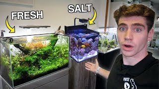 The BEST Aquariums in England Freshwater amp Saltwater [upl. by Deraj]