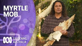 Myrtle Mob  Australian native plants  Gardening Australia [upl. by Fredrick]