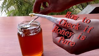 How to check if Honey is Pure [upl. by Niamart]