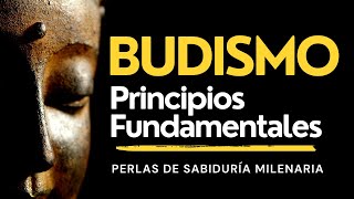 Principios Fundamentales del Budismo Tibetano para Principiantes ¿Se Puede Eliminar el Sufrimiento [upl. by Mikiso529]