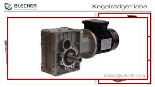 Stirnradgetriebe Motor  Funktion und Varianten [upl. by Euqinitram]