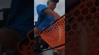 Nice Taylorsville Crappie actually 125 fishing crappiefishing kayakfishing [upl. by Maxia529]