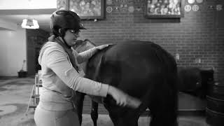 Inside the barns at Spruce Meadows [upl. by Enaffit]