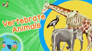 Vertebrate Animals for Kids Educational Video for Kids [upl. by Laud]