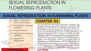 Sexual Reproduction In Flowering Plants 04 ncert biology12th neet careerpoint botany [upl. by Ziegler]