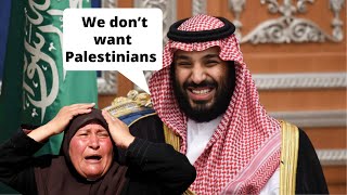 Why Arab Countries Dont Want Palestinian Refugees [upl. by Hemminger176]