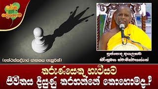 Ven Agalakada Sirisumana Thero  20231016  0900PMතරුණයෙකු හැටියට ජිවිතය දියුණු කරගන්නේ කොහොමද [upl. by Oberg]