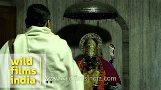 Hindu priest performs Aarti ritual during Kali Puja [upl. by Marcoux]