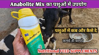 Anabolite Mix  Energy Booster  पशुओं में ग़जब के फ़ायदे कब और कितना दे Pet vet town [upl. by Auqinihs]