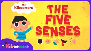 Five Senses  The Kiboomers Kids Learning Songs For Circle Time  Body Parts Song [upl. by Arised]