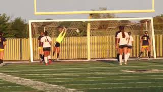 Mackenzie Brotherston Lacey scores the first goal of the season for the Lions on Sep 3rd 2024 [upl. by Nnaecarg]