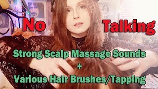 ASMR Strong Scalp Massage  Various Hair BrushesShampoo Brush  Tapping on Head No Talking [upl. by Siwel]