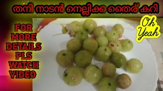 തനി നാടൻ നെല്ലിക്ക തൈര് കറി  MALAYALAM [upl. by Meggy525]