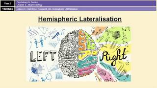 AQA ALevel Psychology  Paper 2 Biopsychology [upl. by Vikki352]