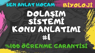 DOLAŞIM SİSTEMİ KONU ANLATIMI 1  AÇIK  KAPALI KAN DOLAŞIMI  AYT BİYOLOJİ  ✅ [upl. by Lalittah]