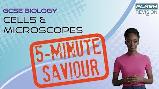 5Minute GCSE Biology Cells amp Microscopes  Eukaryotes Prokaryotes Plant amp Animal Cells [upl. by Noillimaxam]