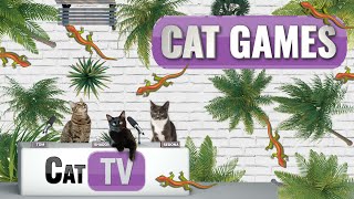 CAT TV  Larry the Lizard  A Playful Adventure Across Diverse Lands  Videos For Cats to Watch  😼 [upl. by Notserc]