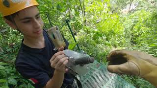 Canopy River Zipline with GoPro  Puerto Vallarta Mexico Zip Line [upl. by Enelam]