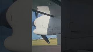 Q300 Landing Napier Airport airnewzealand shortvideo airline airplane avgeek dash8 [upl. by Brion]