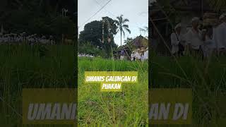 Umanis galungan di puakan [upl. by Faith695]