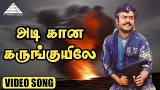 அடி கான கருங்குயிலே HD Video Song  Poonthotta Kaavalkaaran  Vijayakanth  Ilaiyaraaja [upl. by Arreyt539]