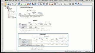 SPSS Regression Analysis [upl. by Anastasius856]