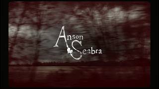 Anson Seabra  The Man She Needs Official Lyric Video [upl. by Sezen]